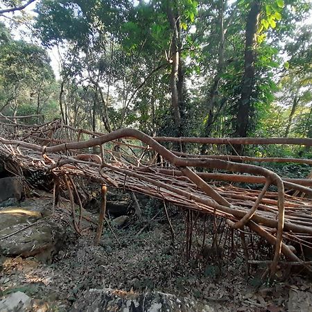 Living Roots Lodge Cserrapundzsi Kültér fotó