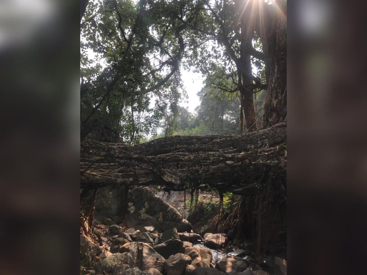 Living Roots Lodge Cserrapundzsi Kültér fotó