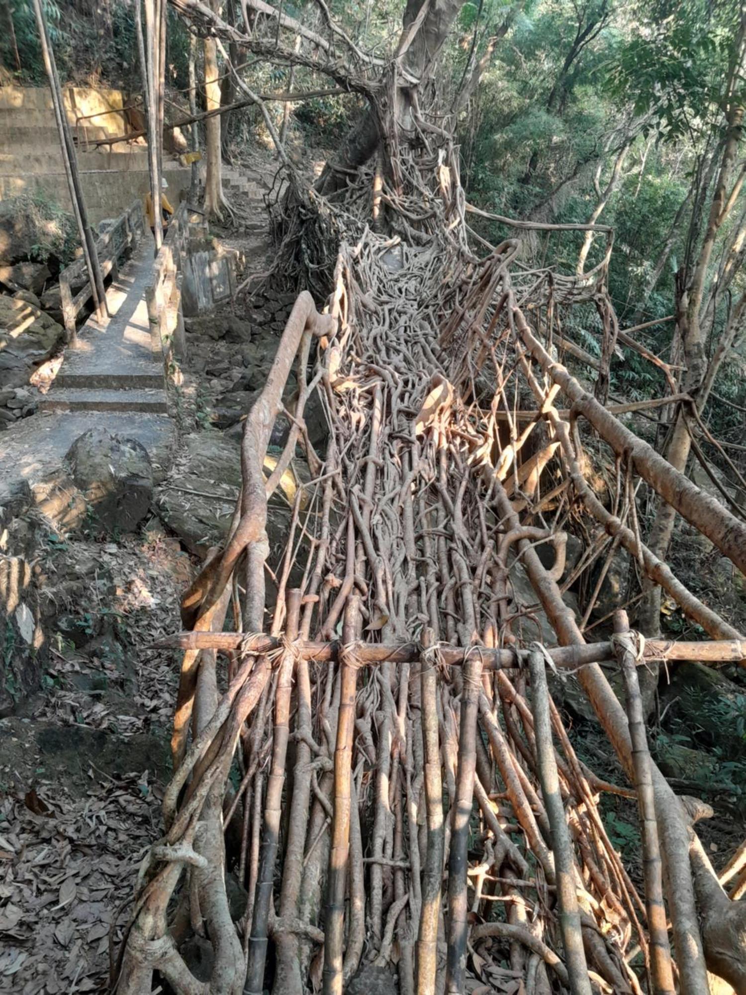 Living Roots Lodge Cserrapundzsi Kültér fotó